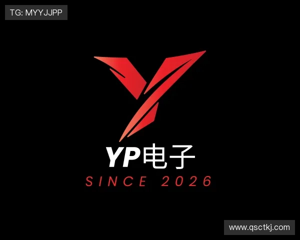 关于YP电子